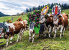 © Wildschönau Tourismus