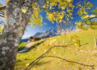 © SalzburgerLand Tourismus/F. Pritz