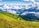 © Sebastian Köhler - stock.adobe.com