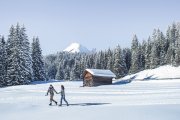 Winterlandschaft