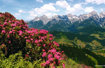 Herbstreise in das Alpendorf bei St. Johann im Pongau